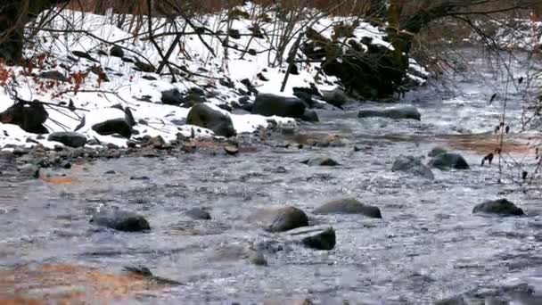 Río Zona Montaña Invierno Video Clip — Vídeos de Stock