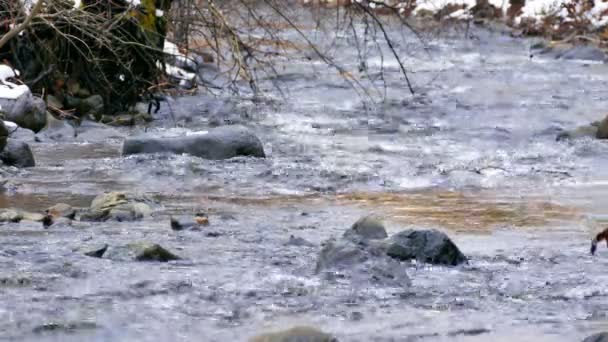 Río Zona Montaña Invierno Video Clip — Vídeos de Stock