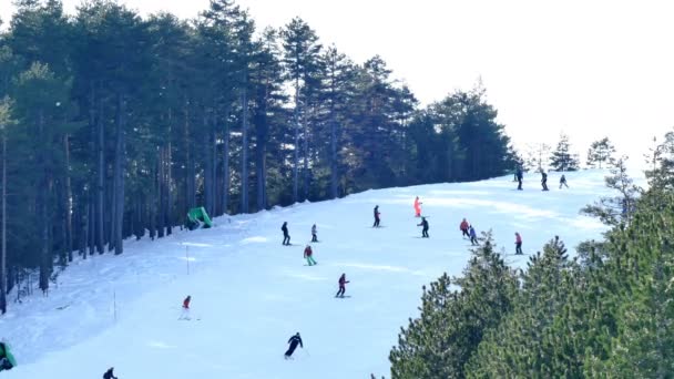 Zlatibor Serbien December 2018 Motionärer Skidåkning Berget Videoklipp — Stockvideo