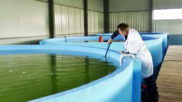 Temerin Sérvia Março 2019 Fazenda Peixes Para Cultivo Sterlet Piscinas — Vídeo de Stock