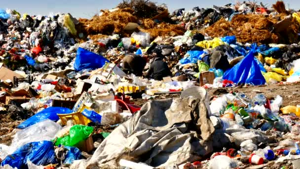 Zrenjanin Serbia Aprile 2019 Bottiglie Plastica Borse Altri Rifiuti Nelle — Video Stock