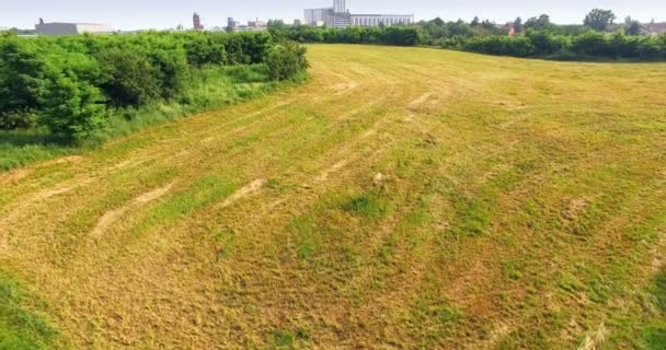 Vzdušný Záběr Nádherné Zelené Přírody Nedaleko Města Drone Shot Video — Stock video