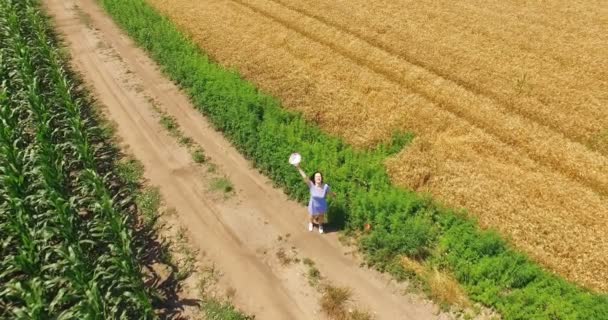 Captura Aérea Mujer Joven Hermoso Campo Trigo Drone Shot Video — Vídeos de Stock