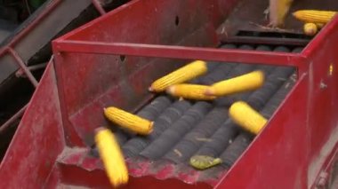 Mısırın Ayıklanması ve İşlenmesi, Video Klip