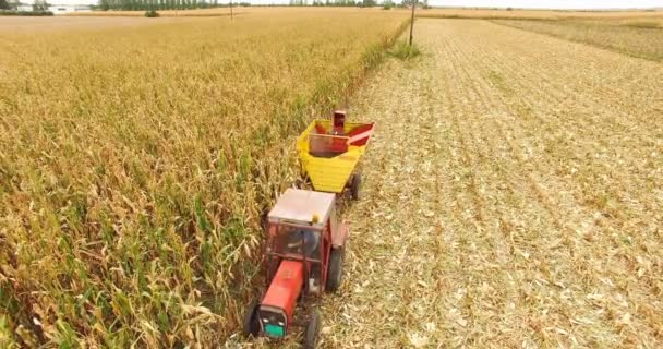 Aérial Shot Récolte Maïs Avec Une Combinaison Drone Shot Clip — Video