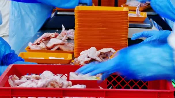 Processing Fresh Chicken Meat Preparation Sale Video Clip — Stock Video