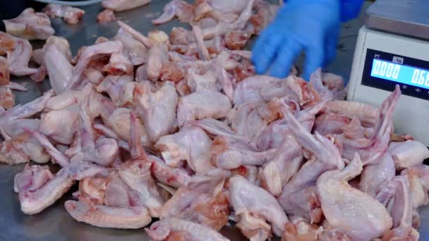 Transformation Viande Poulet Fraîche Préparation Vente Clip Vidéo — Video