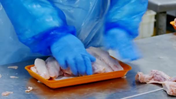 Processing Fresh Chicken Meat Preparation Sale Video Clip — Stock Video