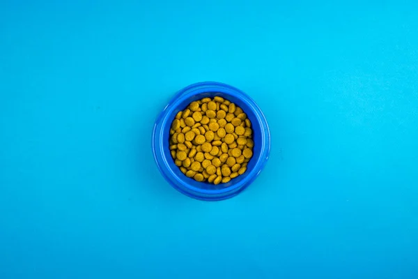 Hayvanlar için çok renkli kaselerde yemek. Kediler ve köpekler için yemek. Hayvan bakımı konsepti. Boşluğu kopyala