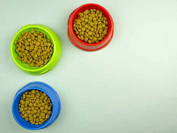 Hayvanlar için çok renkli kaselerde yemek. Kediler ve köpekler için yemek. Hayvan bakımı konsepti. Boşluğu kopyala