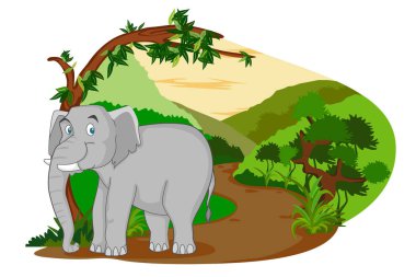 Vahşi hayvan fil orman orman arka planda