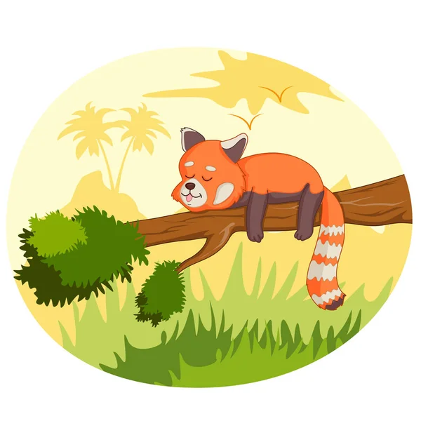Animal salvaje Panda rojo en bosque selvático fondo — Vector de stock