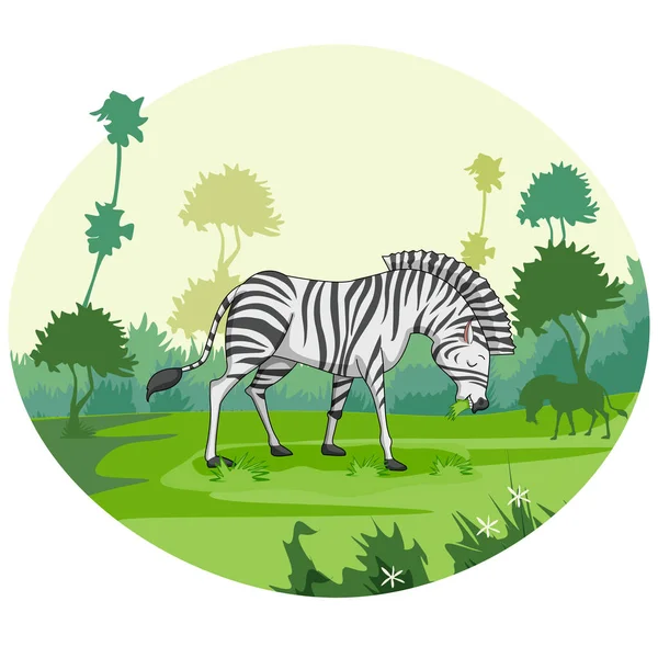 Animal selvagem zebra no selva floresta fundo —  Vetores de Stock