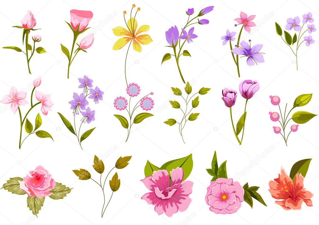 Beautiful fresh flower on floral spring background template for banner, wedding card invitation or greeting card design