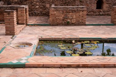 İspanya 'nın Granada kentindeki La Alhambra bahçesinde.