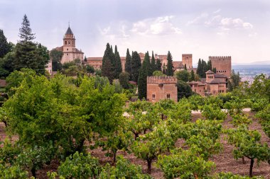 Granada 'daki Alhambra kompleksi etrafındaki Generalife üzüm bağları