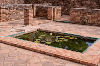 İspanya 'nın Granada kentindeki La Alhambra bahçesinde.