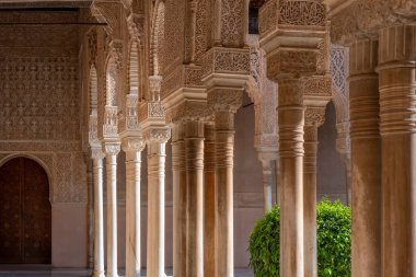 Alhambra, Granada, İspanya 'daki Aslanlar Sarayı' ndaki Fas kemerleri.