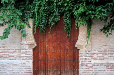 Eski bir evin bitki örtüsüyle dolu Arap kapısı