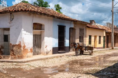 24 Ağustos 2019, bir at arabası. Trinidad, Küba