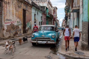 4 Eylül 2109: klasik Amerikan arabası Old Havana caddesinde. Havana, Küba