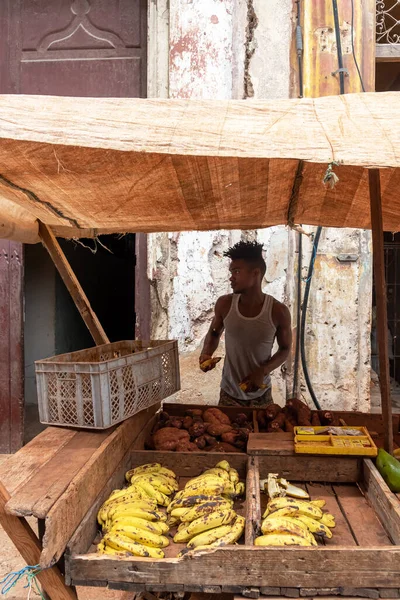 Eylül 2019 Old Havana Meyve Satıcısı Havana Küba — Stok fotoğraf