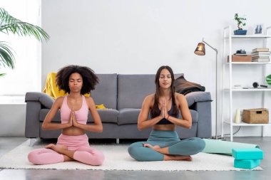 Yoga yapan iki kadın rahat evlerinde meditasyon yapıyor.