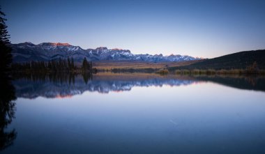Vahşi doğada yaz manzaraları