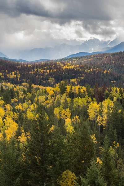 Autunno Montagna — Foto Stock