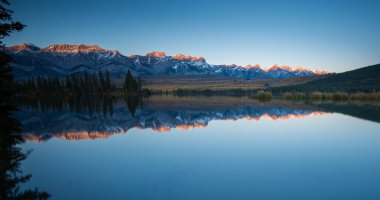 Vahşi doğada yaz manzaraları