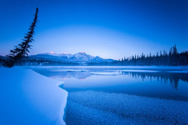 Jasper, Alberta, Kanada 'nın doğal manzarası