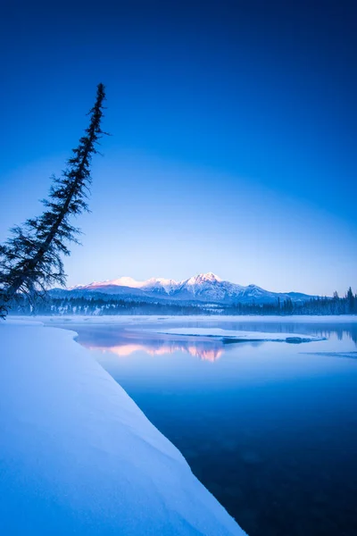 Přírodní Krajina Jasper Alberta Kanada — Stock fotografie