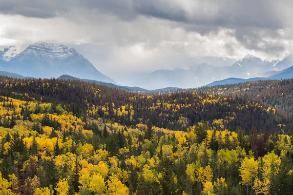 Autunno Montagna — Foto Stock