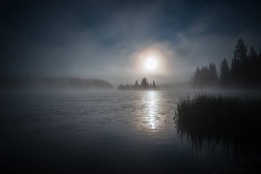 Yellowstone Ulusal Parkı Manzarası