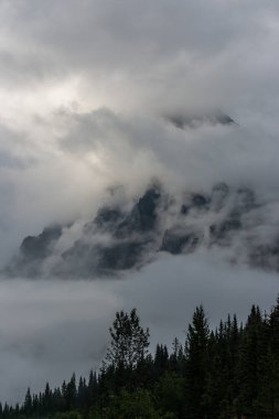 Dağlarda yaz manzaraları