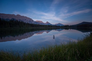 Yazın dağ manzarası