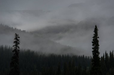 Dağlarda yaz manzaraları