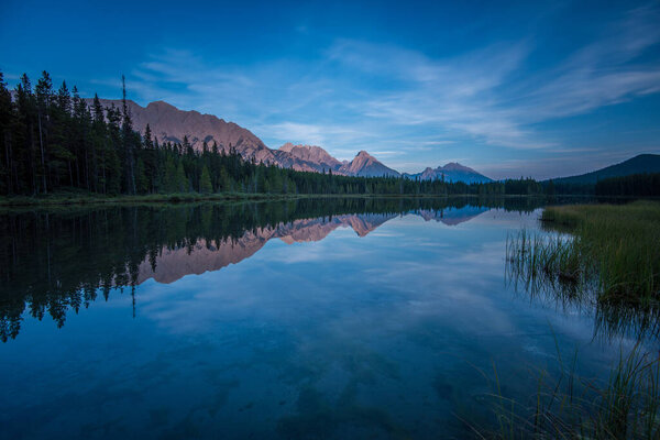 Summer landscapes in the wild