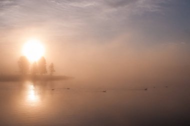 Yazın Yellowstone Manzarası