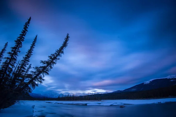 Inverno Nel Deserto Canadese — Foto Stock