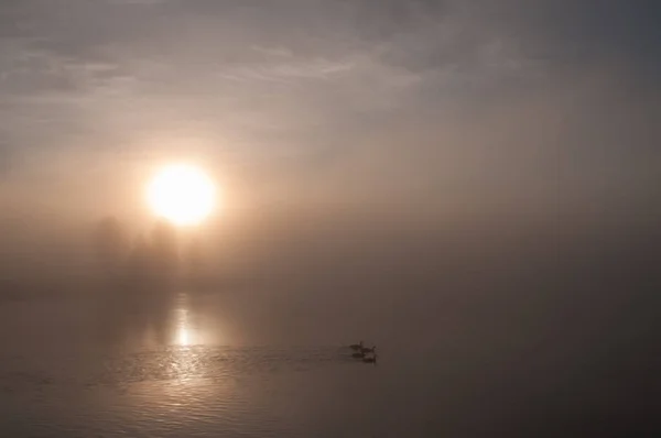 Nebel Yellowstone River — Stockfoto