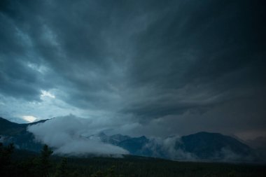 Vahşi doğada fırtına