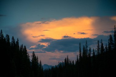 Vahşi doğada gün batımı