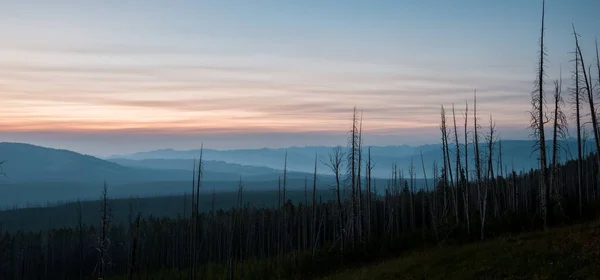 Paesaggio Yellowstone Estate — Foto Stock