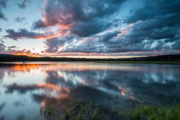 Yellowstone Landscape Summer — Stock Photo, Image