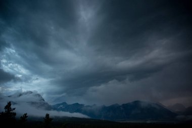 Vahşi doğada fırtına