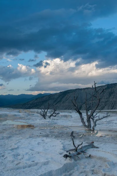 Mammoet Warmwaterbronnen Yellowstone — Stockfoto