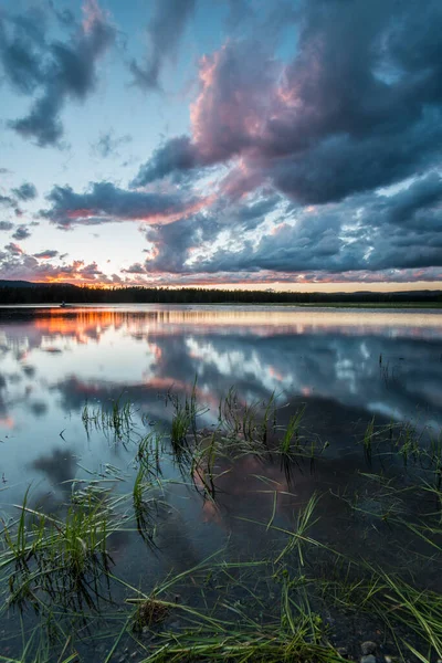 Yellowstone Landschap Zomer — Stockfoto