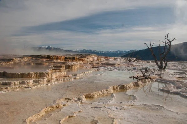 Yellowstone Landschappen Zomer — Stockfoto