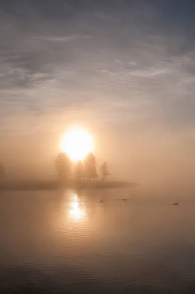 Yellowstone Landscape Summer — Stock Photo, Image